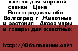 клетка для морской свинки › Цена ­ 1 200 - Волгоградская обл., Волгоград г. Животные и растения » Аксесcуары и товары для животных   